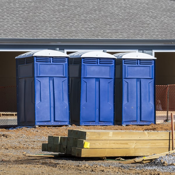 are there different sizes of portable toilets available for rent in Rose Michigan